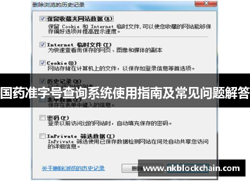 国药准字号查询系统使用指南及常见问题解答