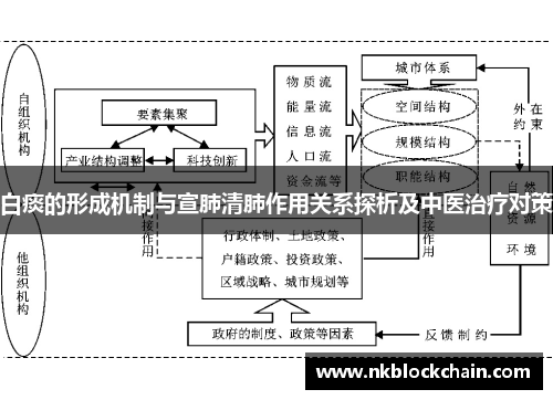 白痰的形成机制与宣肺清肺作用关系探析及中医治疗对策